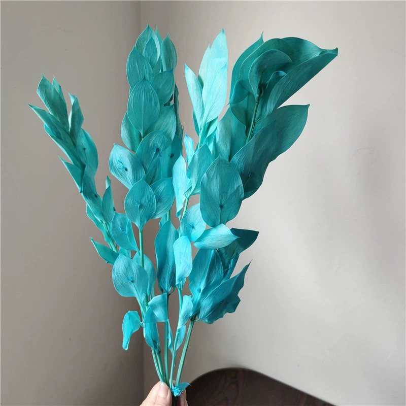 Dried Orange leaf Wholesale Gardenia leaf eternal foliage home decoration flower arrangement with flowers and leaves