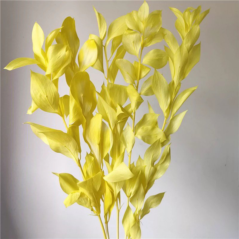 Dried Orange leaf Wholesale Gardenia leaf eternal foliage home decoration flower arrangement with flowers and leaves