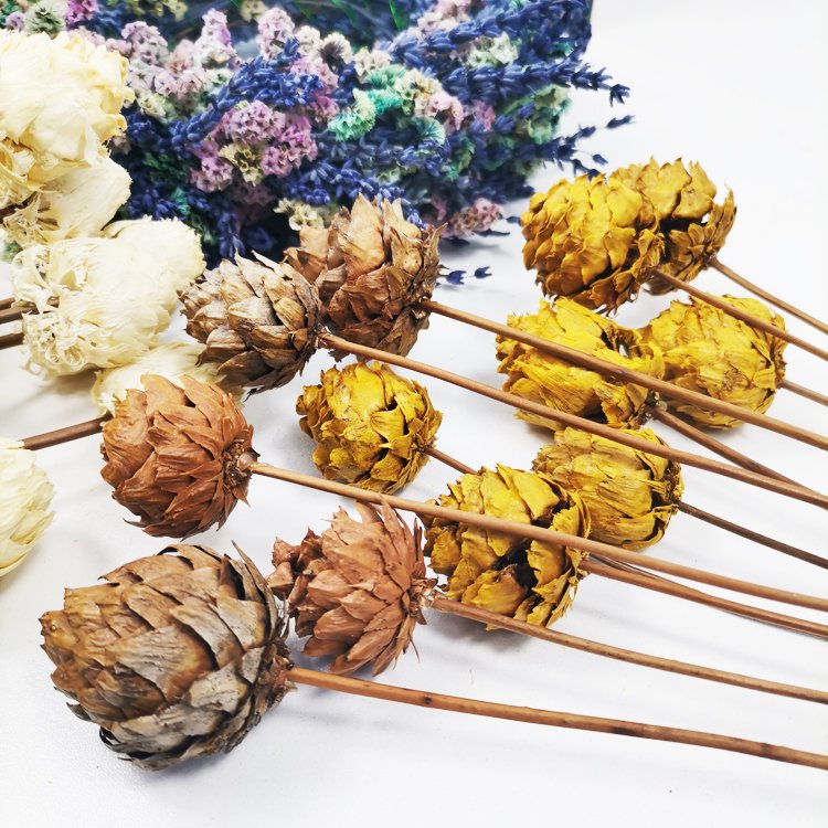 Sumflora Wholesale factory supply natural real dried pine cone for home Christmas Decoration dry flowers pine cone