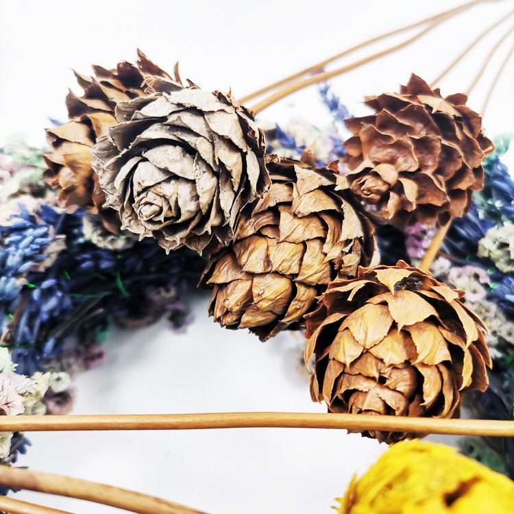 Sumflora Wholesale factory supply natural real dried pine cone for home Christmas Decoration dry flowers pine cone