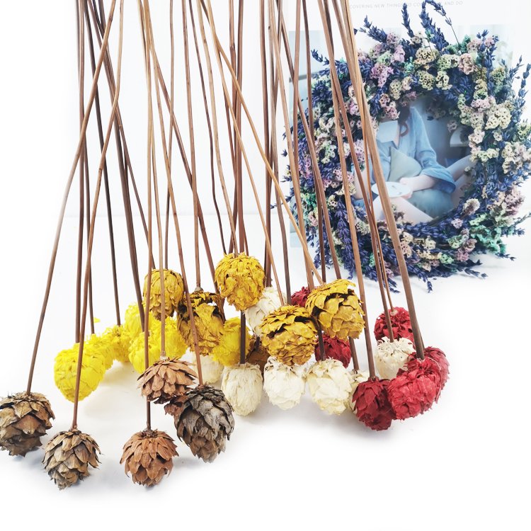 Sumflora Wholesale factory supply natural real dried pine cone for home Christmas Decoration dry flowers pine cone