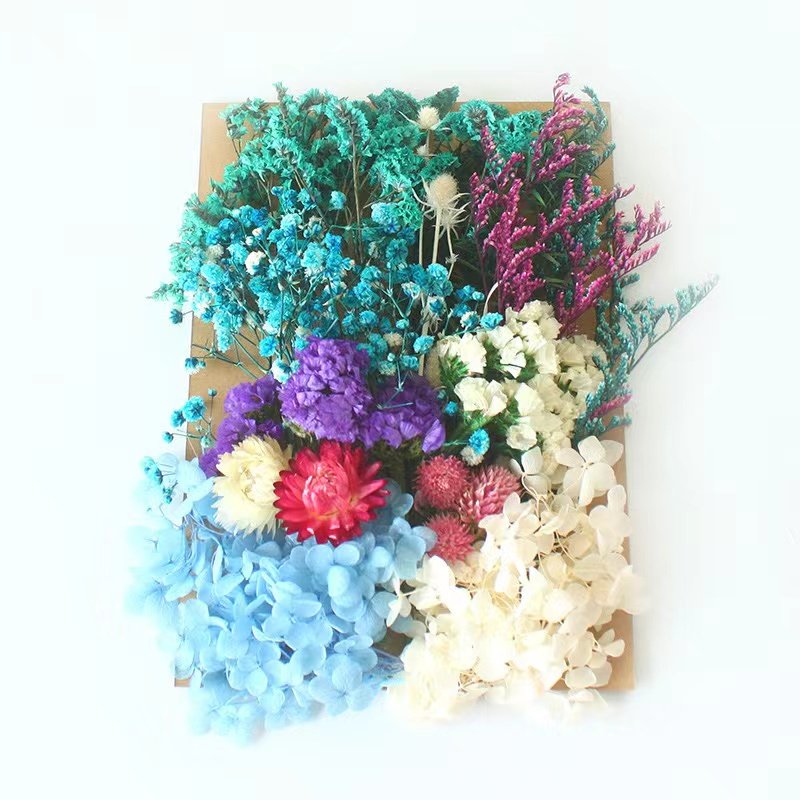 Natural Dried Flowers And Plants Resin Dry Flower Material Mix Color Dry Flowers For Resin Candles