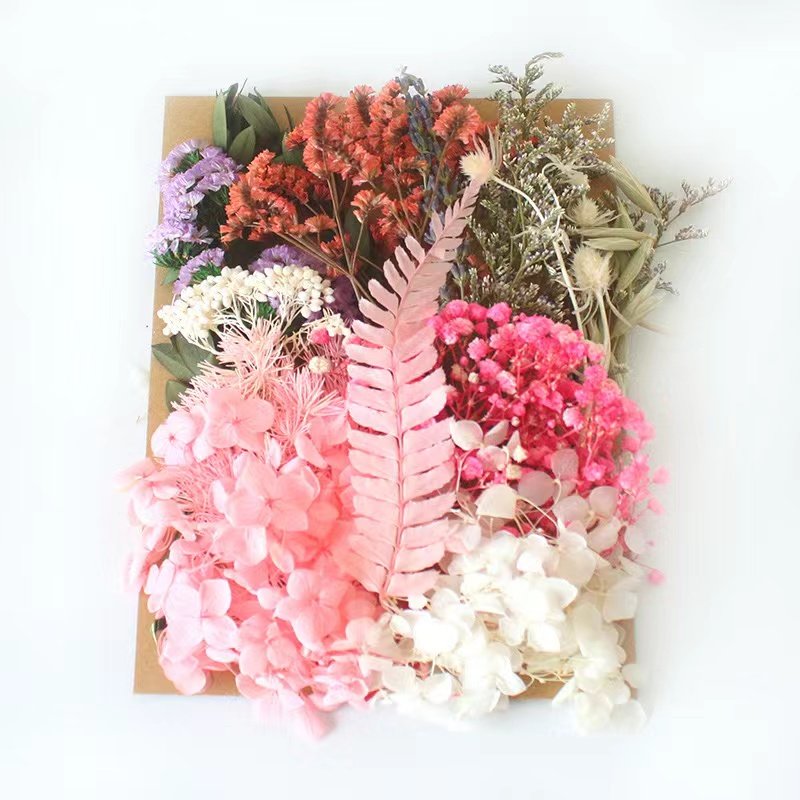 Natural Dried Flowers And Plants Resin Dry Flower Material Mix Color Dry Flowers For Resin Candles