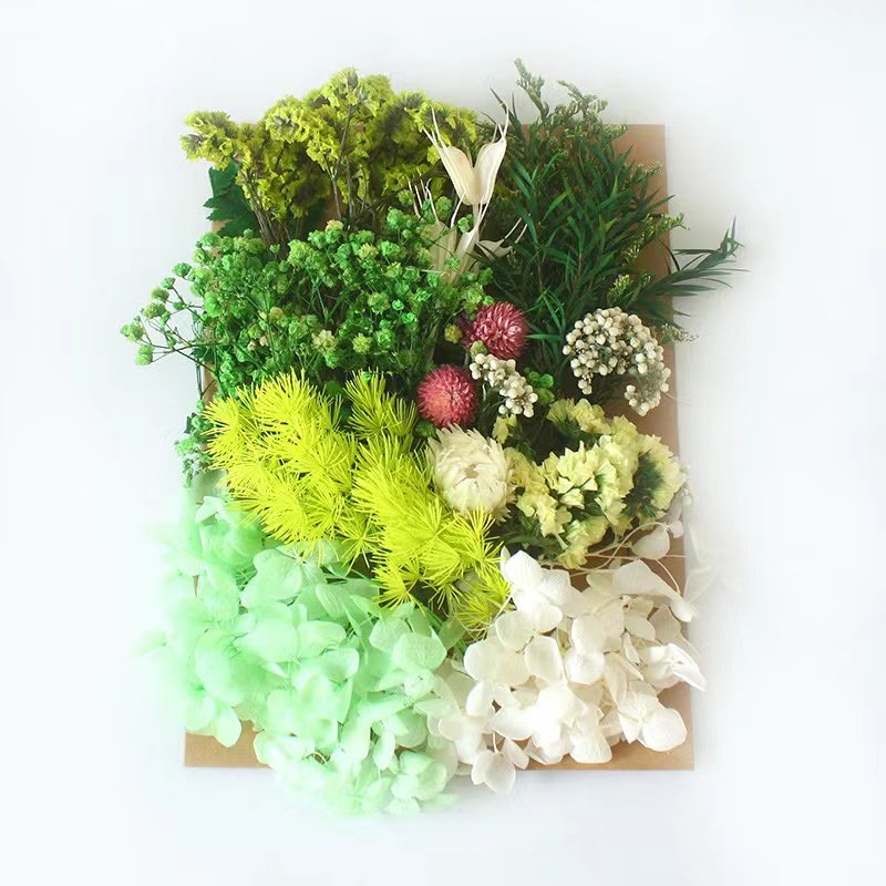 Natural Dried Flowers And Plants Resin Dry Flower Material Mix Color Dry Flowers For Resin Candles