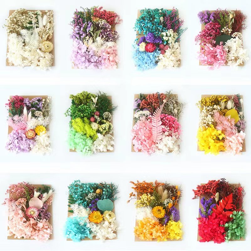Natural Dried Flowers And Plants Resin Dry Flower Material Mix Color Dry Flowers For Resin Candles