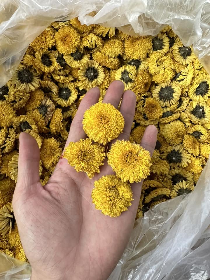 99GD Factory Organic Tea Wholesale Dried Flower Tea Dried Daisy Chamomile Pea Flower yellow flower Butterfly Tea