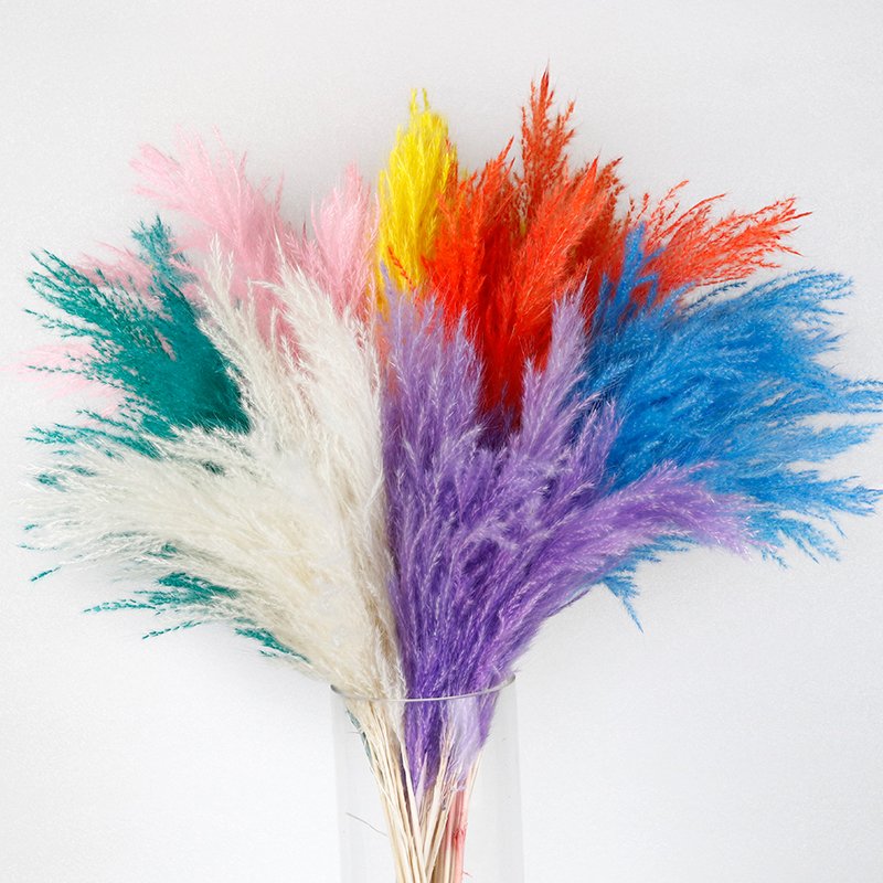 GH-147 natural dyeing fluffy boho real dried flower material golden reed pampas grass pink wedding decor
