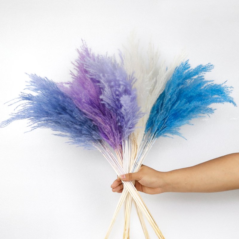 GH-147 natural dyeing fluffy boho real dried flower material golden reed pampas grass pink wedding decor