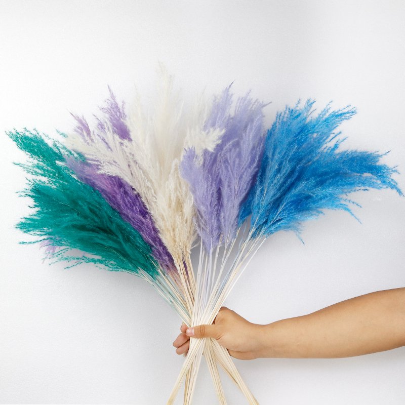 GH-147 natural dyeing fluffy boho real dried flower material golden reed pampas grass pink wedding decor