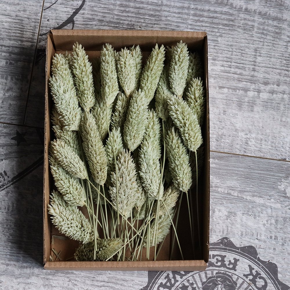 Eternal flower material package wholesale cross-border embossing dried flower DIY handmade floral gifts