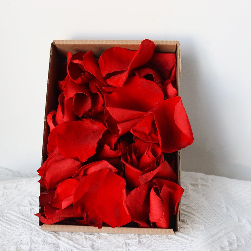 Eternal flower material package wholesale cross-border embossing dried flower DIY handmade floral gifts