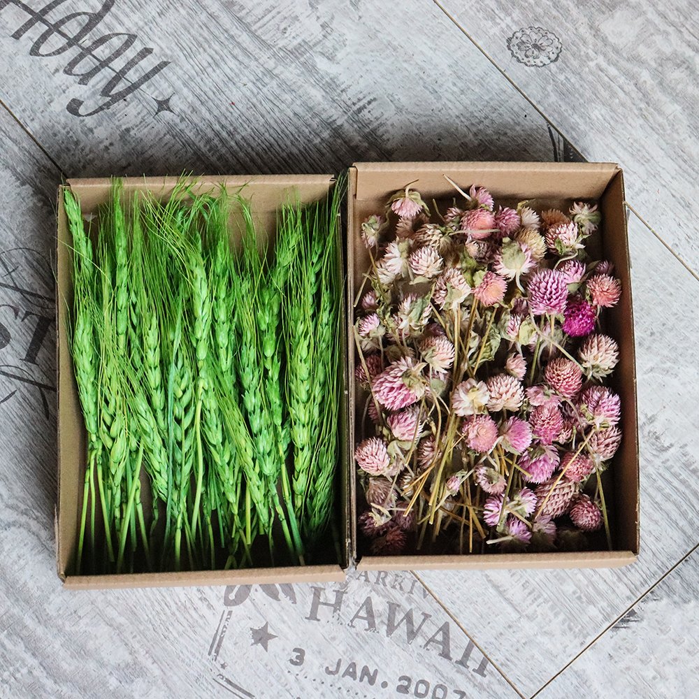 Eternal flower material package wholesale cross-border embossing dried flower DIY handmade floral gifts