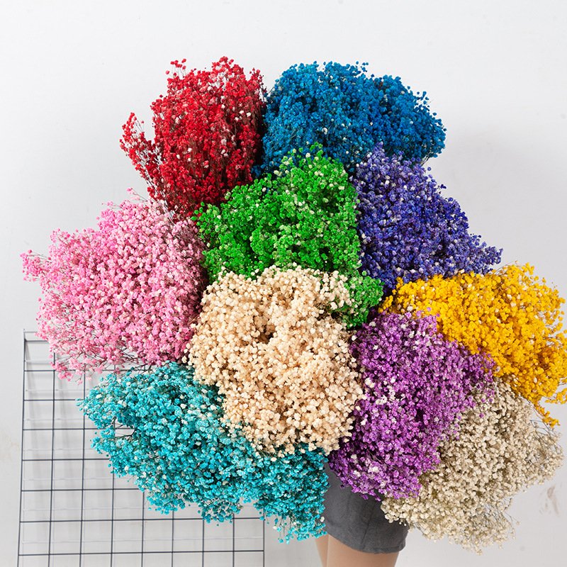 Wholesale Dried Flower Decoration Gypsophila Preserved Dried Babysbreath Flower Gypsophila For Wedding