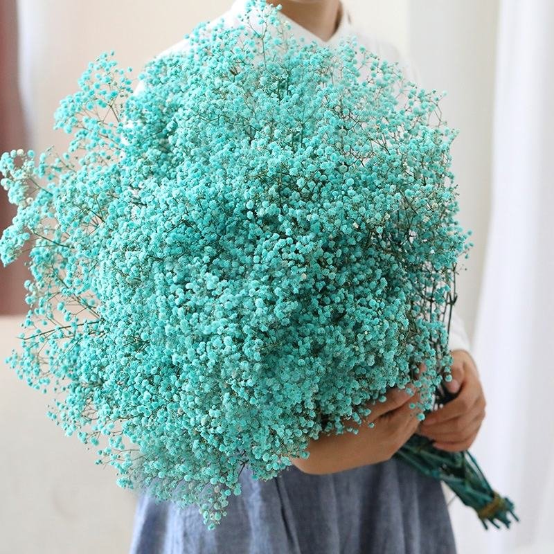 Wholesale Dried Flower Decoration Gypsophila Preserved Dried Babysbreath Flower Gypsophila For Wedding