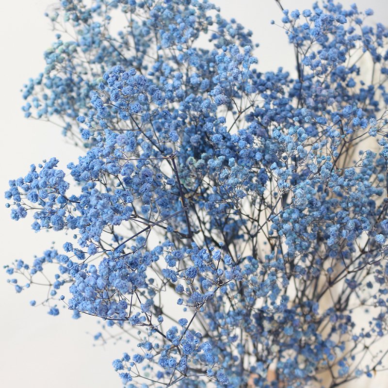 Wholesale Dried Flower Decoration Gypsophila Preserved Dried Babysbreath Flower Gypsophila For Wedding