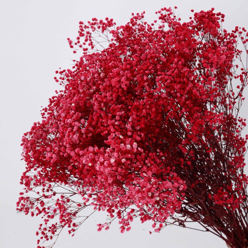 Wholesale Dried Flower Decoration Gypsophila Preserved Dried Babysbreath Flower Gypsophila For Wedding