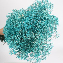 BB-06-120g