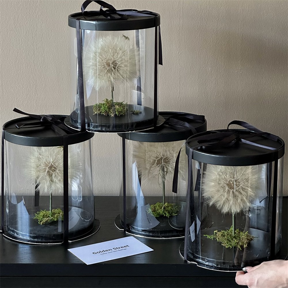 Popular Festival Birthday Gift Box Design Single Real Natural Immortal Forever Eternal Preserved Dried Dandelion Flowers