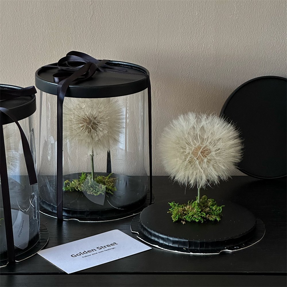 Popular Festival Birthday Gift Box Design Single Real Natural Immortal Forever Eternal Preserved Dried Dandelion Flowers