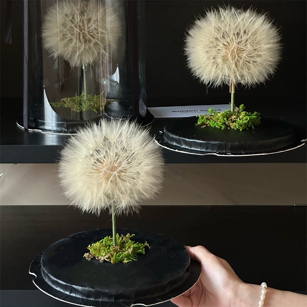 Popular Festival Birthday Gift Box Design Single Real Natural Immortal Forever Eternal Preserved Dried Dandelion Flowers