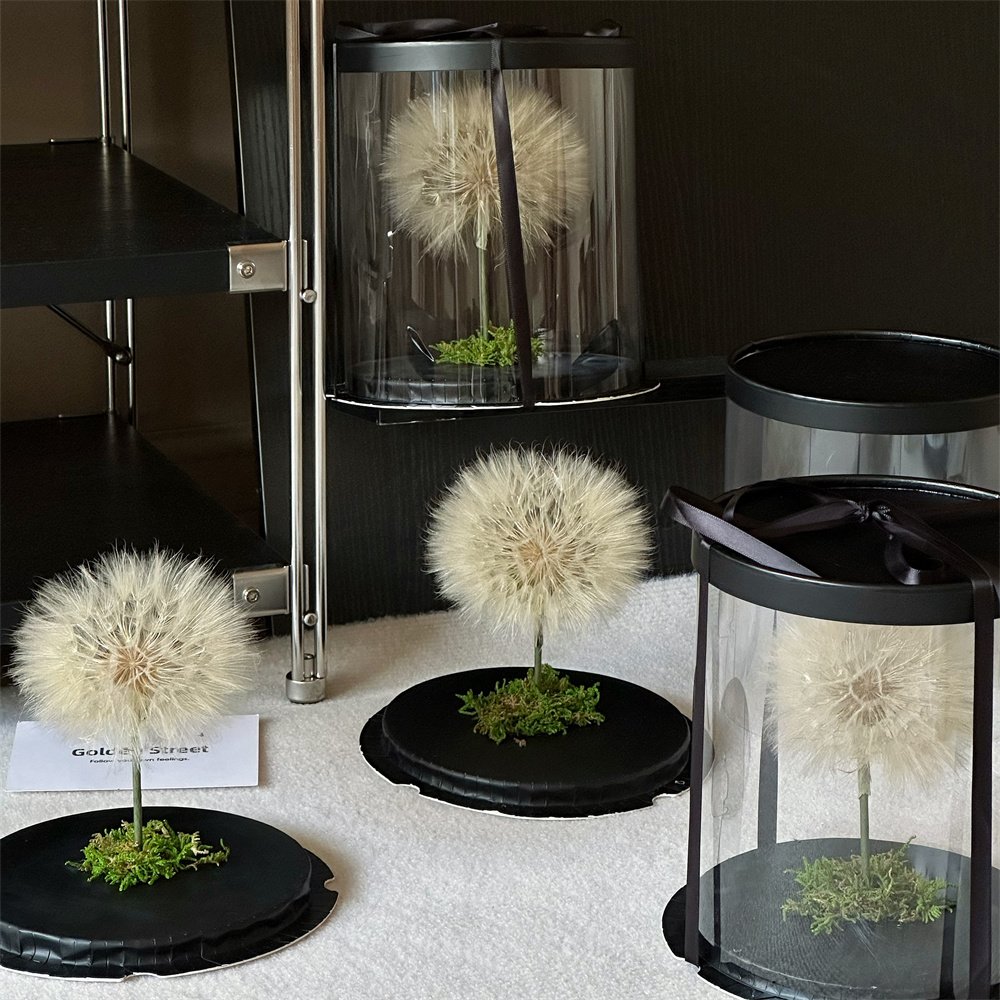 Popular Festival Birthday Gift Box Design Single Real Natural Immortal Forever Eternal Preserved Dried Dandelion Flowers