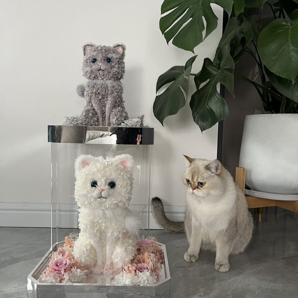 Valentine Day Cat Gift Immortal flower Everlasting Eternal Rose Forever Dried Hydrangea preserving fresh flowers in acrylic