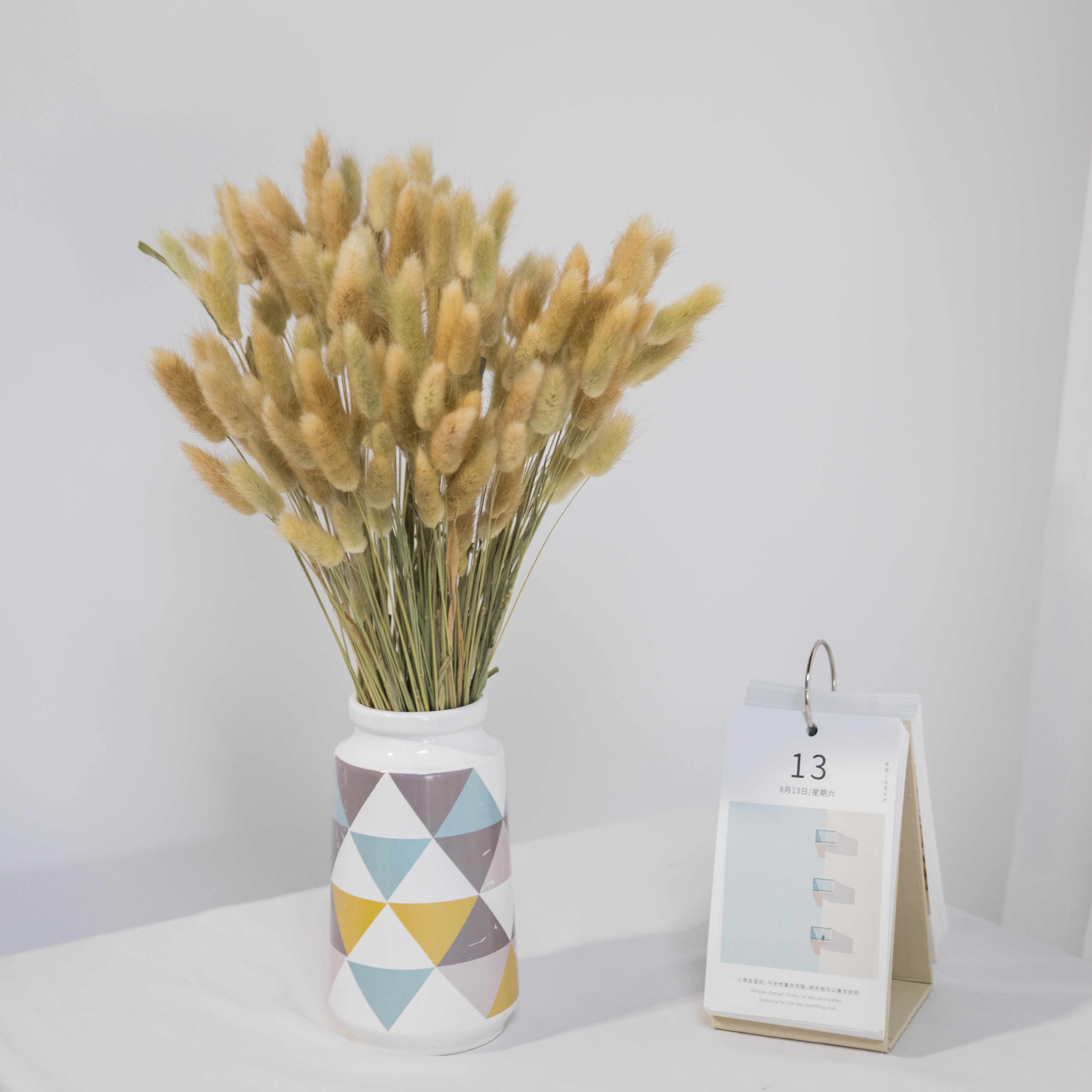 Xiangnan 2023 Hot Sale Lagurus Natural Bunny Tails Dried Flowers Grass Yunnan Dried Rabbits Tails Grass Supplier