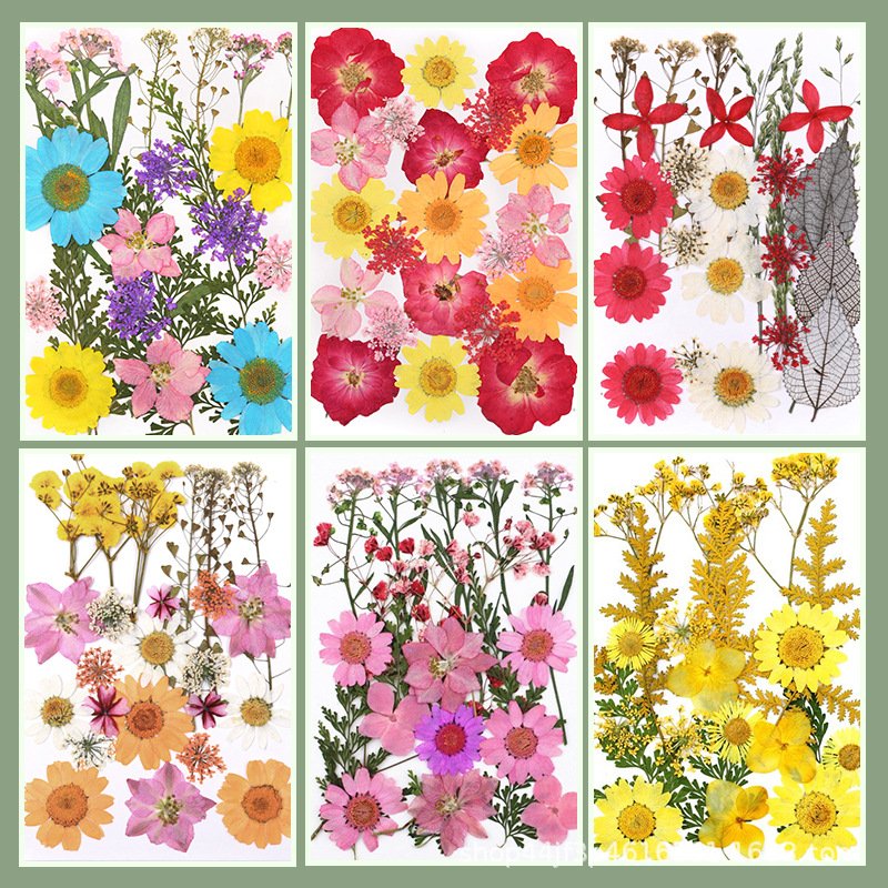 Colorful Handcraft Fresh Pressed Natural Dried Flowers Dried Pressed Bulk Mixed Pack Resin For Art Crafts