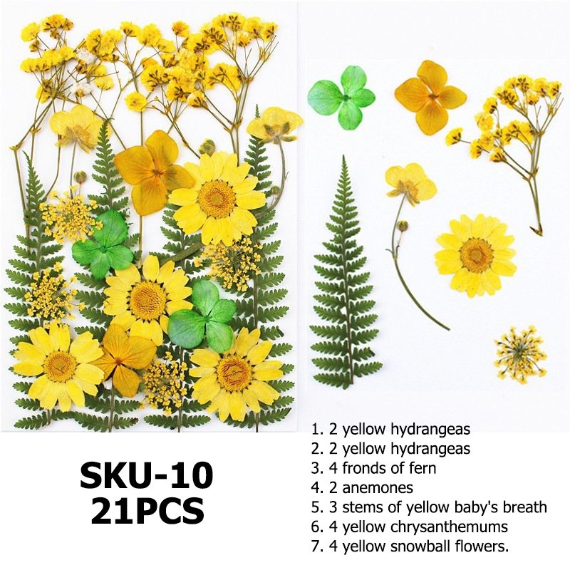 Colorful Handcraft Fresh Pressed Natural Dried Flowers Dried Pressed Bulk Mixed Pack Resin For Art Crafts
