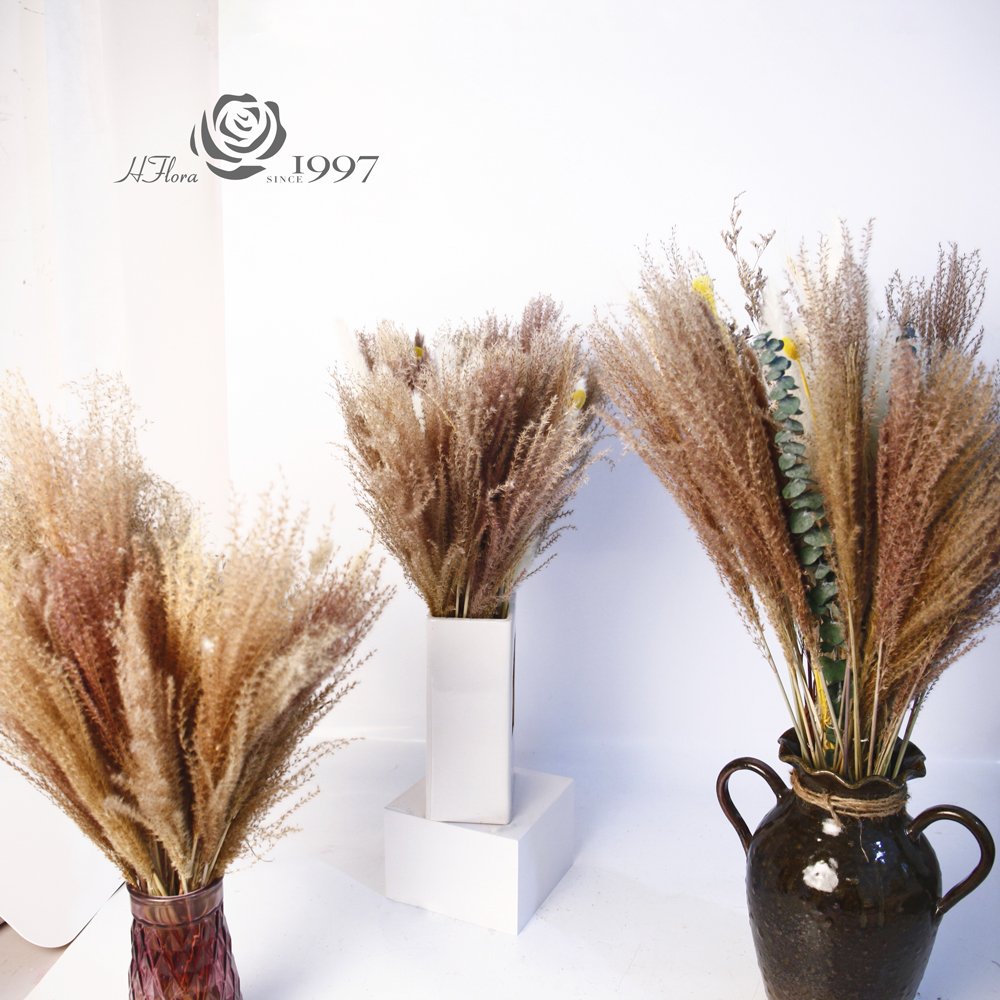 HFloral Wholesale Real Natural Decorative Dried Reed Pampas Grass Bouquet For Home Wedding Decoration Vase