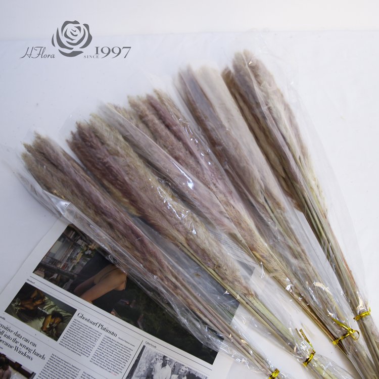 HFloral Wholesale Real Natural Decorative Dried Reed Pampas Grass Bouquet For Home Wedding Decoration Vase