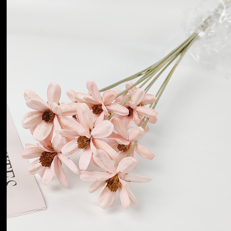 2022 Hot Product Fashionable Dried Flowers Melon Seeds DIY Flower for Home Decoration Romantic Gift Valentines Day