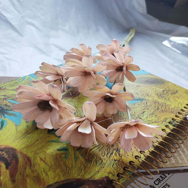 2022 Hot Product Fashionable Dried Flowers Melon Seeds DIY Flower for Home Decoration Romantic Gift Valentines Day