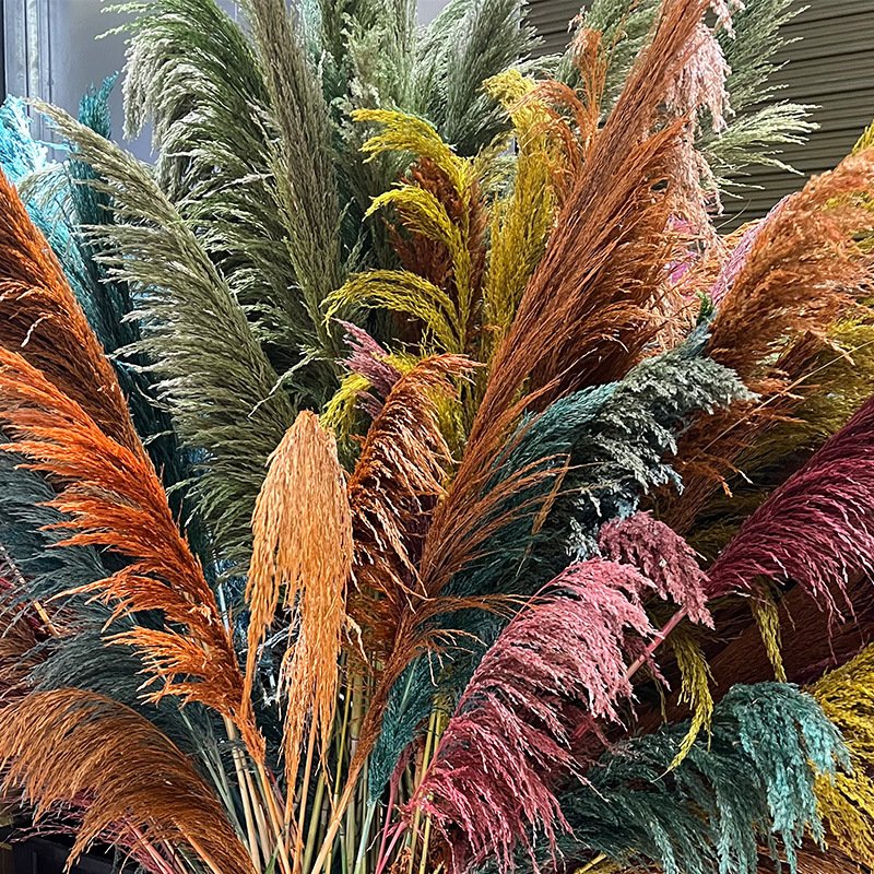 Sumflora 2024 hotel Christmas decoration club decoration reed flower wall dry flowers large pampas grass