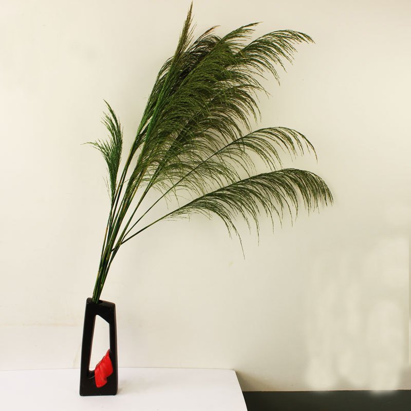 Sumflora 2024 hotel Christmas decoration club decoration reed flower wall dry flowers large pampas grass