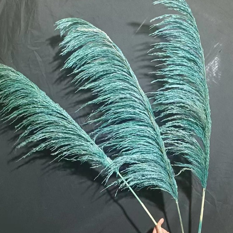Sumflora 2024 hotel Christmas decoration club decoration reed flower wall dry flowers large pampas grass