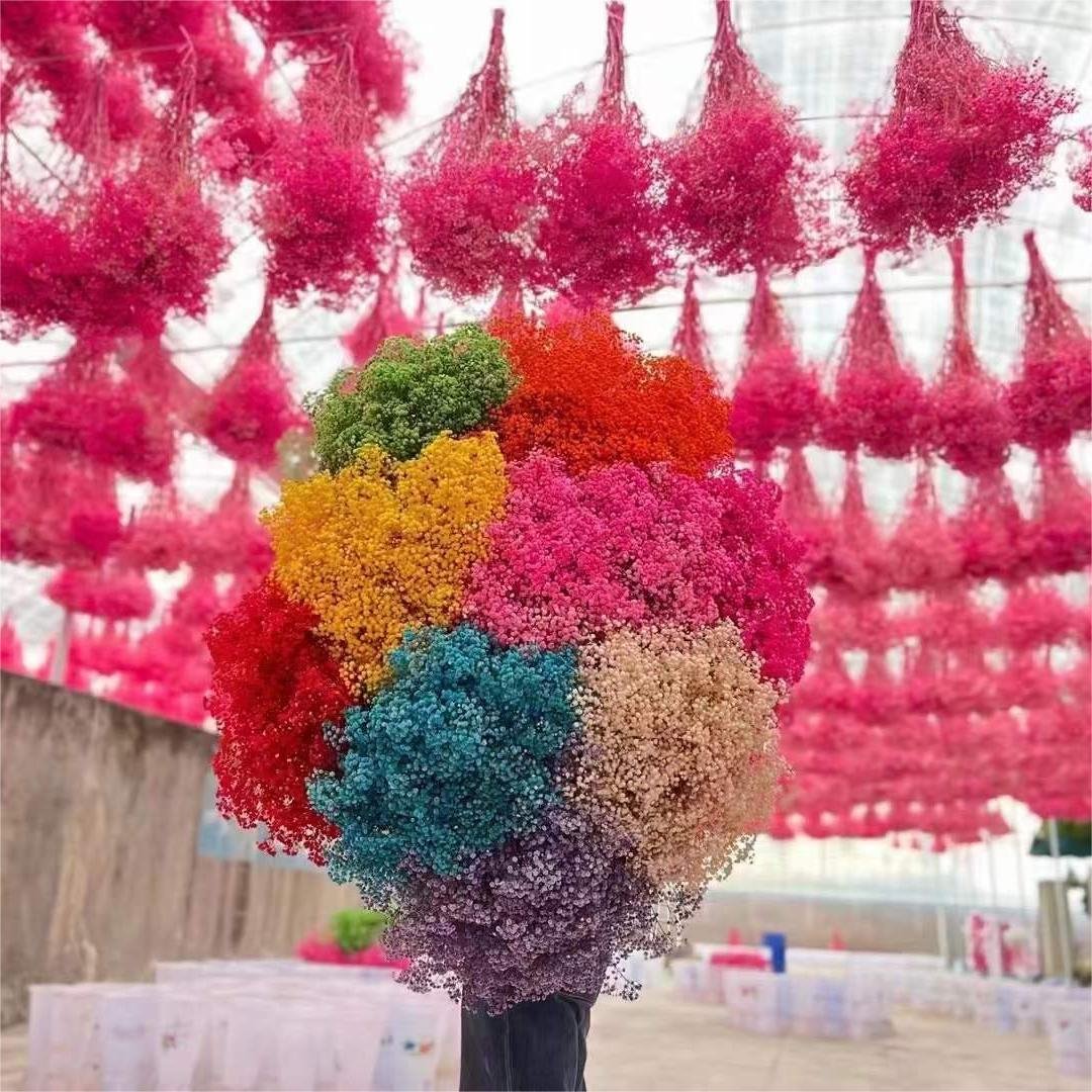 Preserved Natural Fresh Gypsophila Dried Baby's Breath Flower Bouquets for Wedding Decoration Home Decor