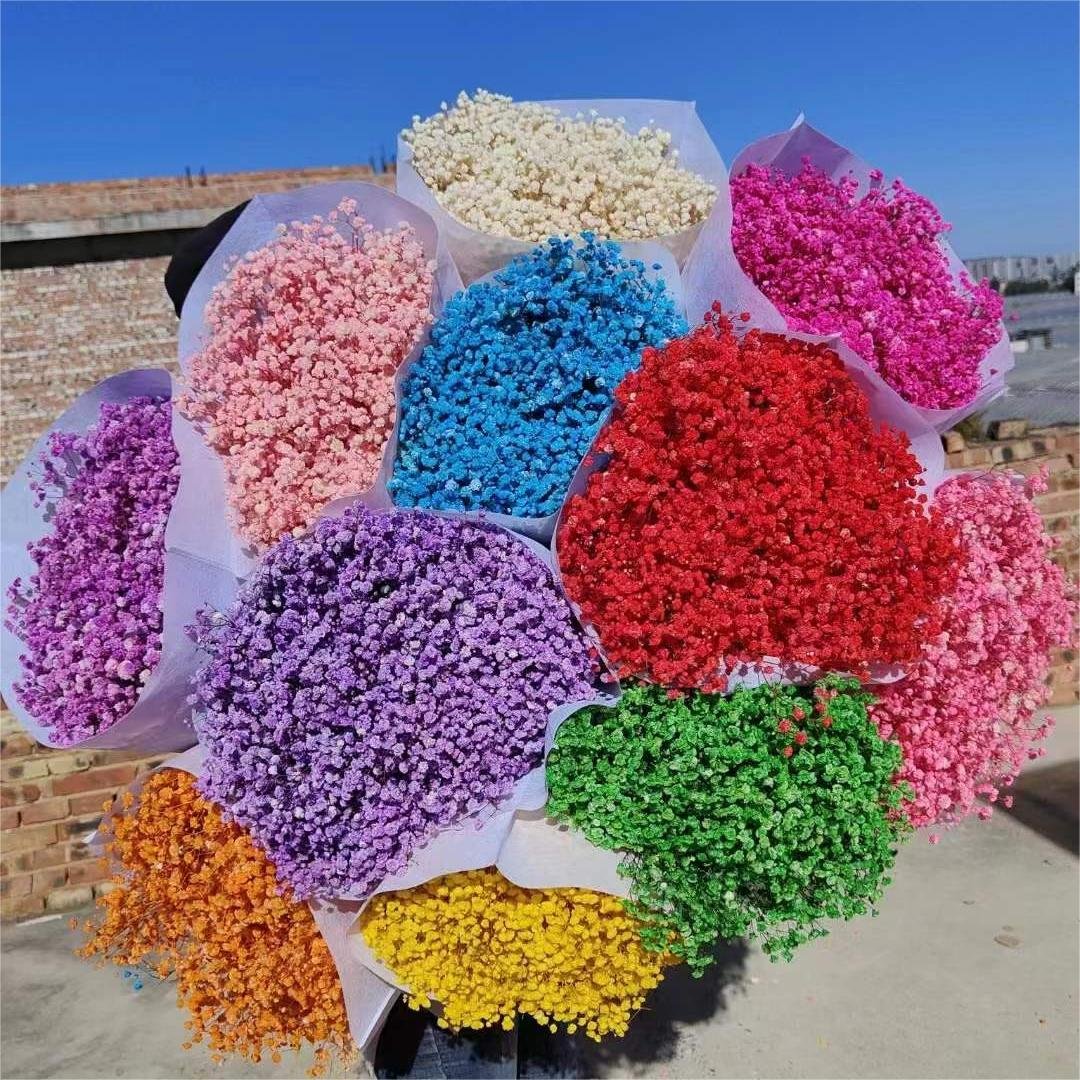 Preserved Natural Fresh Gypsophila Dried Baby's Breath Flower Bouquets for Wedding Decoration Home Decor