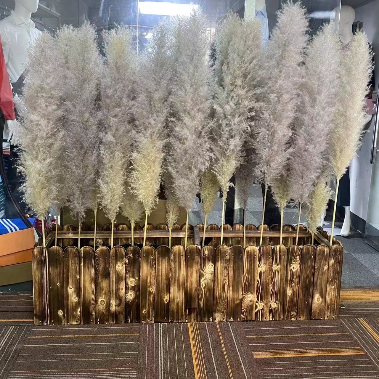 Dried Flowers Luxury Decor Fluffy Tall Pampas grass tree Bohemian natural pampas grass Christmas tree beige pampas grass tree