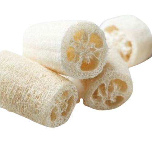 Whole Dried Eco Friendly Luffa on Stem Luffa Natural Dried for Body Shower Sponge Kitchen Scrub Wholesale