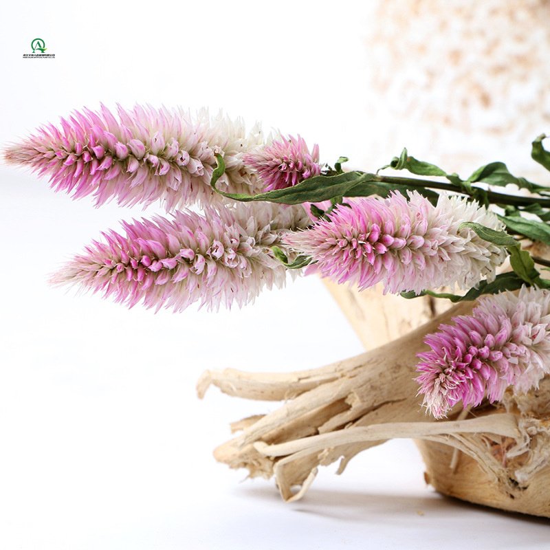 100g Dried flower Bouquet 100% Natural for Vase Home Wedding Office Party Decor