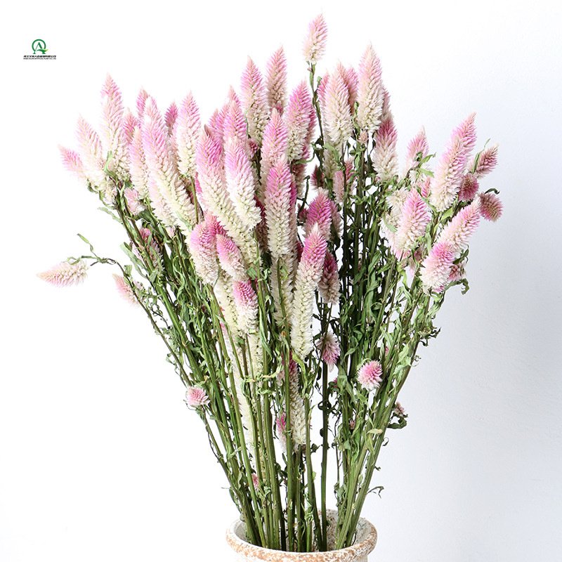 100g Dried flower Bouquet 100% Natural for Vase Home Wedding Office Party Decor