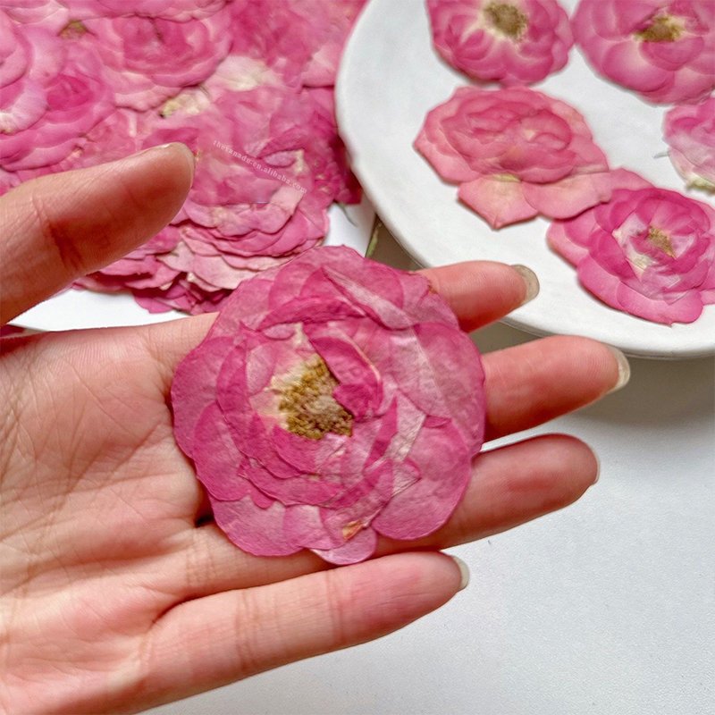 Whole Pink Rose Without Stems Handmade Pressed Flower for Nail Art Bookmark DIY Resin Phone Case 1 Bag 6 PCs