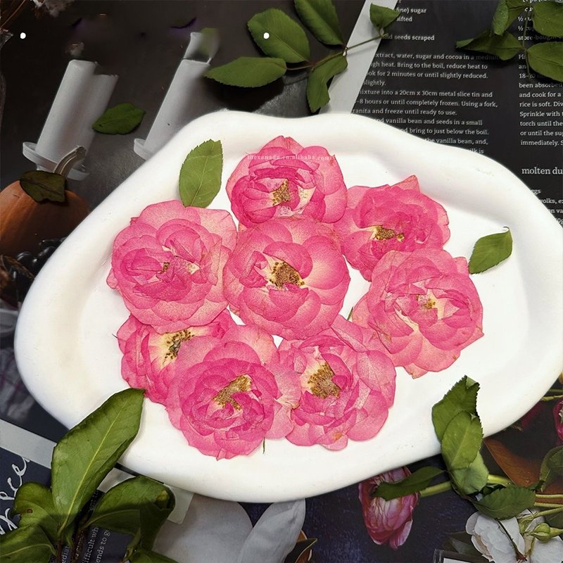 Whole Pink Rose Without Stems Handmade Pressed Flower for Nail Art Bookmark DIY Resin Phone Case 1 Bag 6 PCs