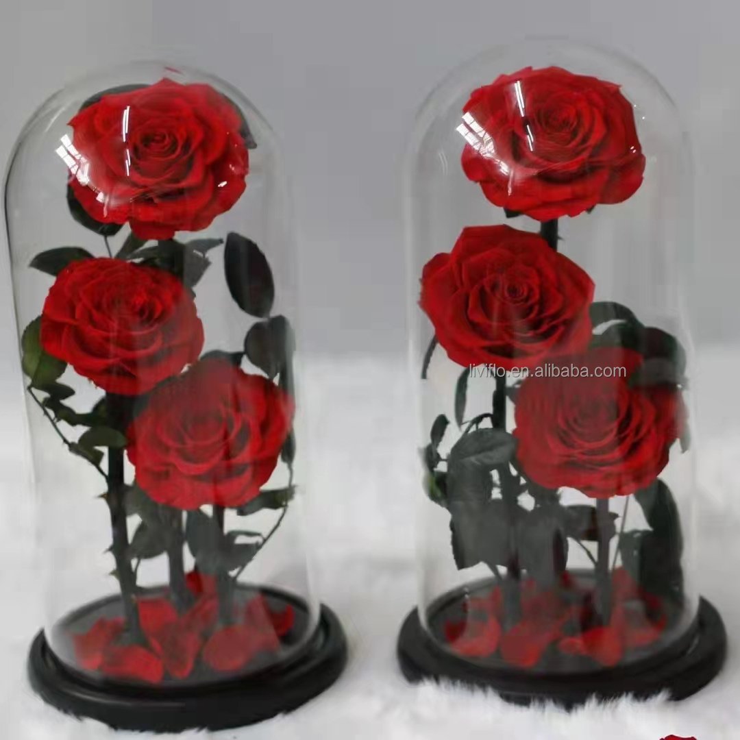 Wholesale Best Selling Products Little Prince Preserved Rose Immortal Roses In Glass Dome Gift Box