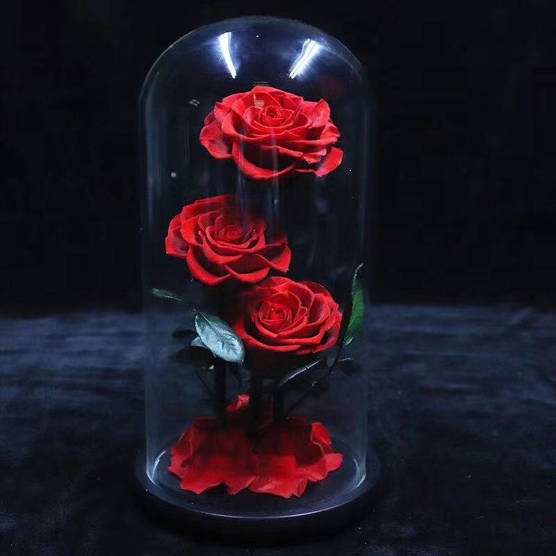 Wholesale Best Selling Products Little Prince Preserved Rose Immortal Roses In Glass Dome Gift Box
