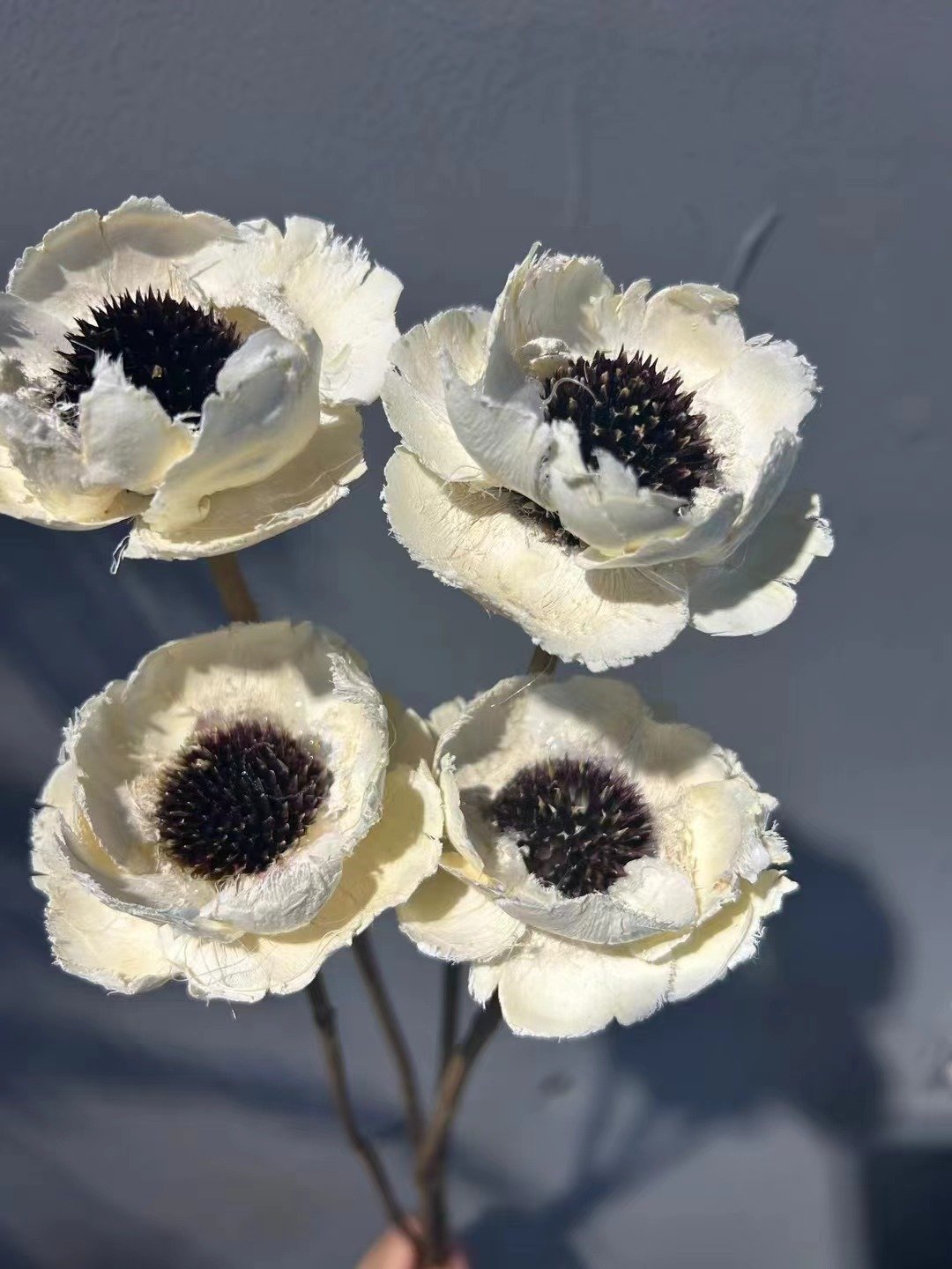 AX-5 Wholesale decorative stabilized wooden flower fresh flower dried handmade flowers dry poppies