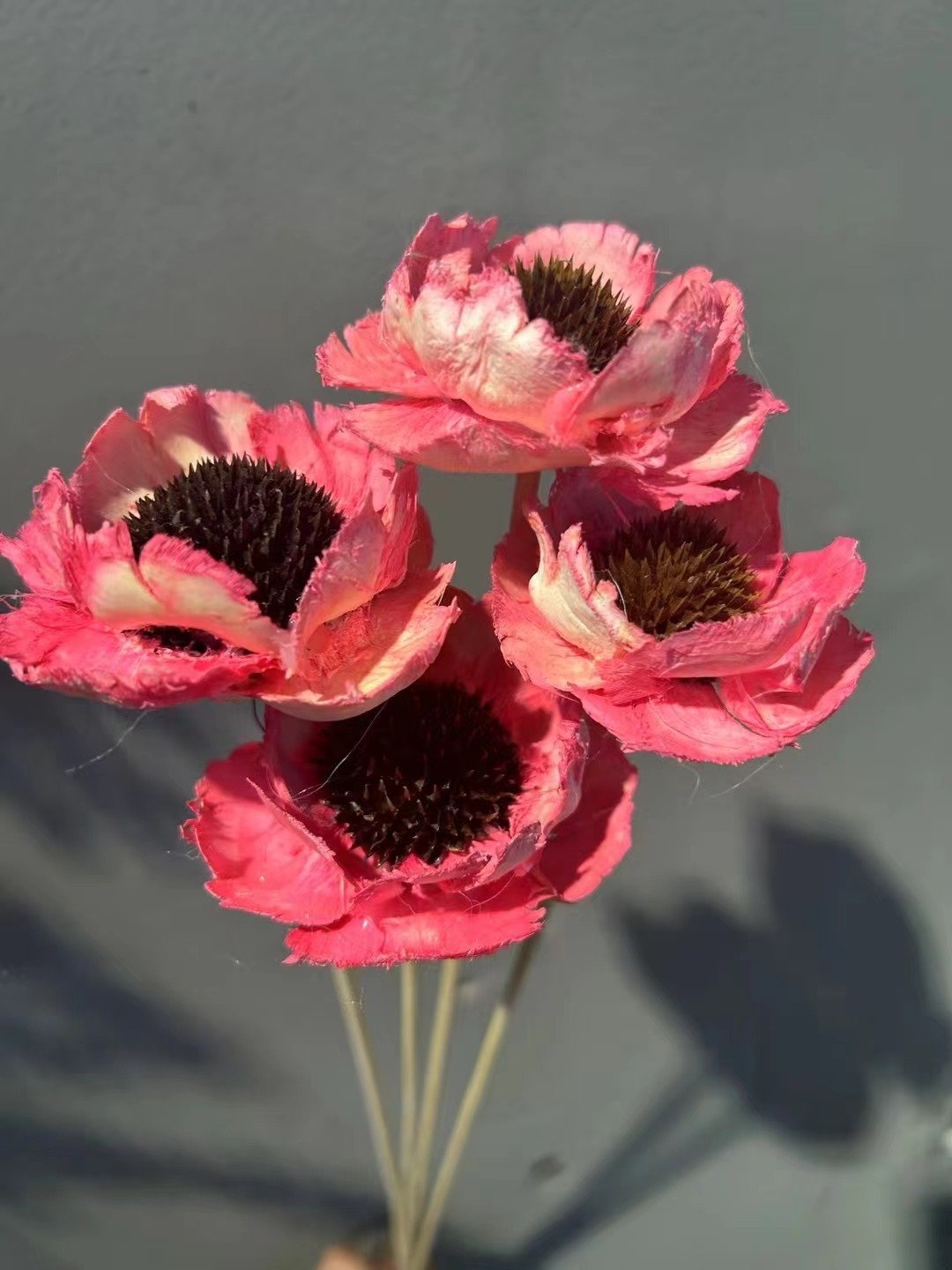 AX-5 Wholesale decorative stabilized wooden flower fresh flower dried handmade flowers dry poppies