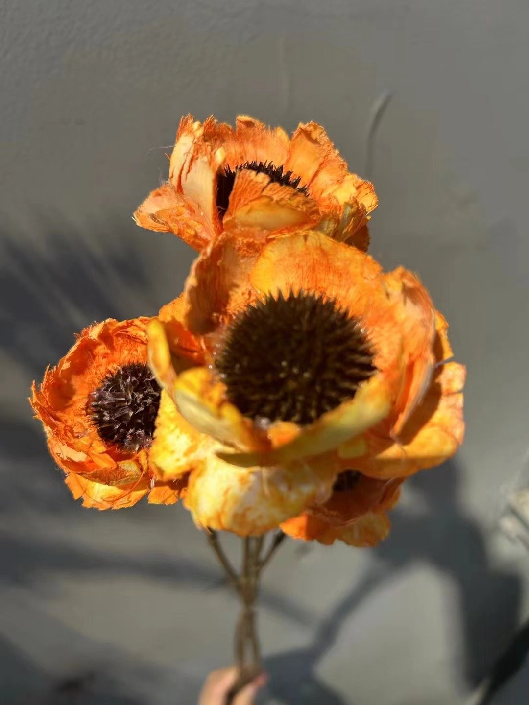 AX-5 Wholesale decorative stabilized wooden flower fresh flower dried handmade flowers dry poppies