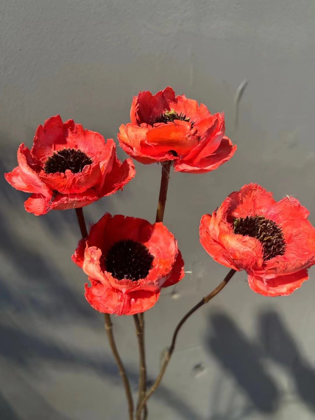 AX-5 Wholesale decorative stabilized wooden flower fresh flower dried handmade flowers dry poppies